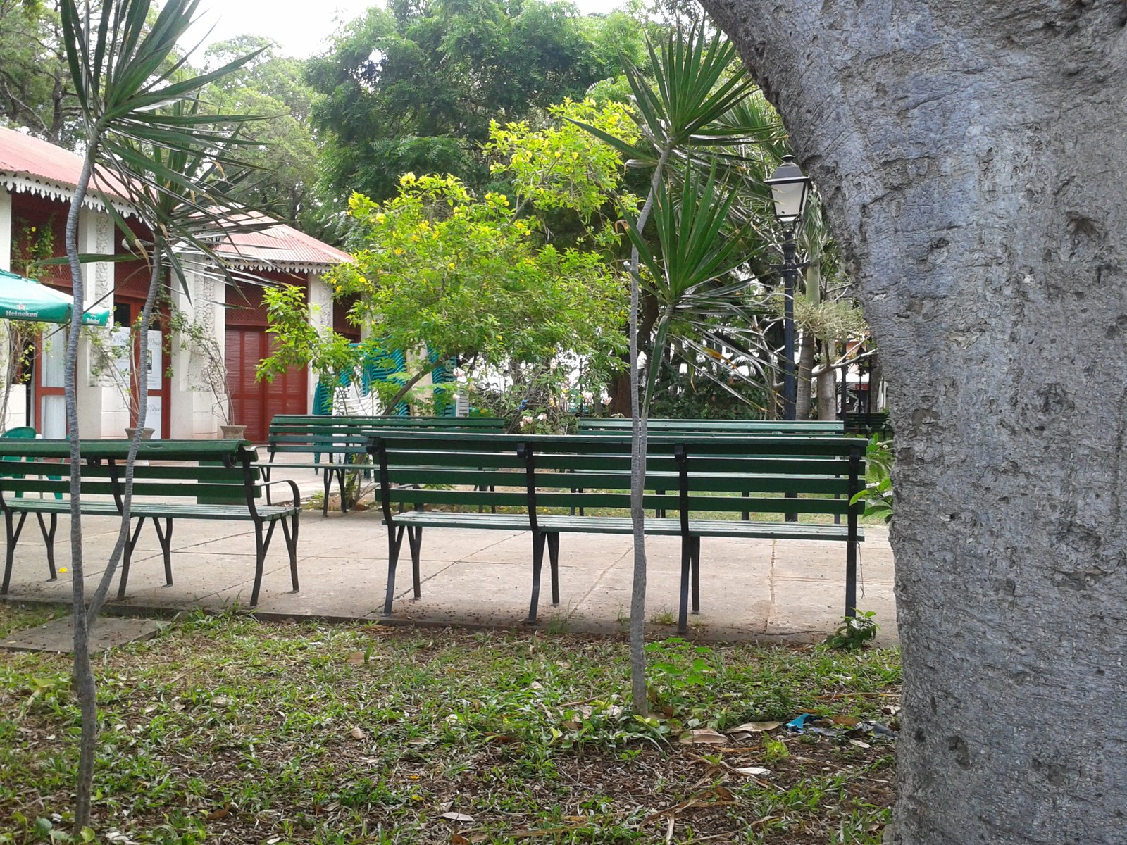 Área externa do Café Passeio, com mesas ao ar livre dentro do Passeio Público em Fortaleza