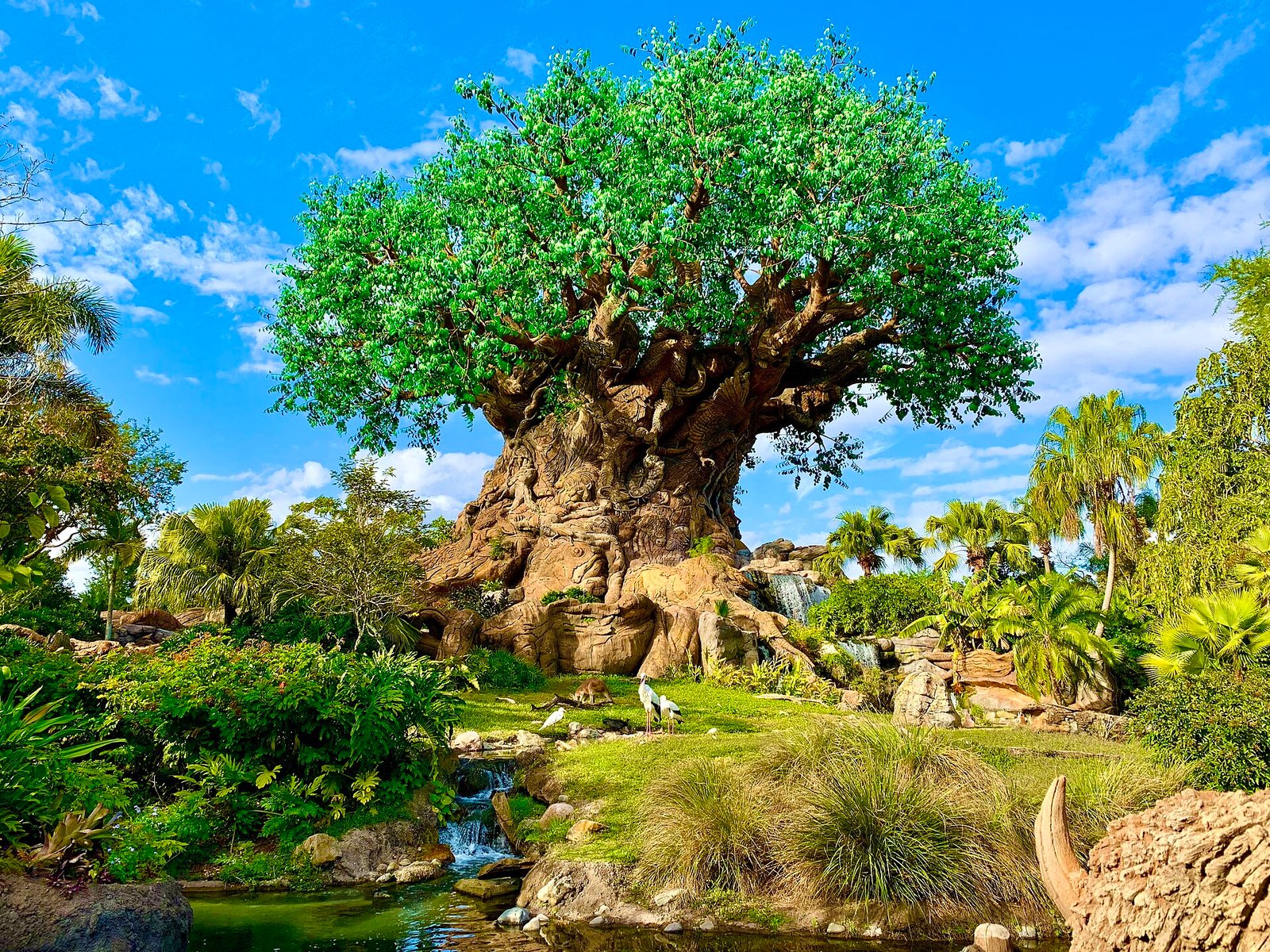 Árvore da Vida, o marco central do Disney's Animal Kingdom, em Orlando