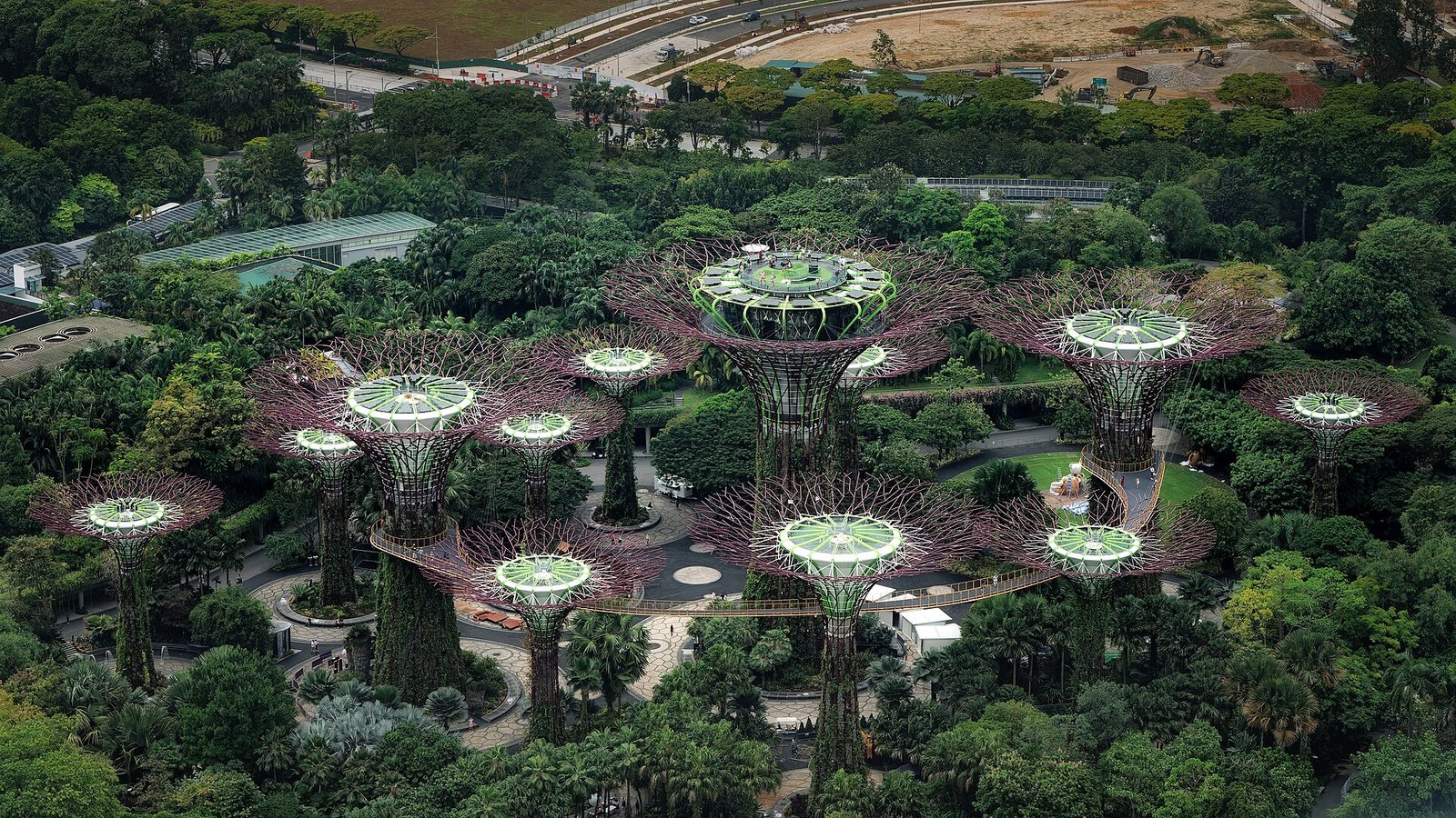 Supertrees iluminadas do Gardens by the Bay em Singapura