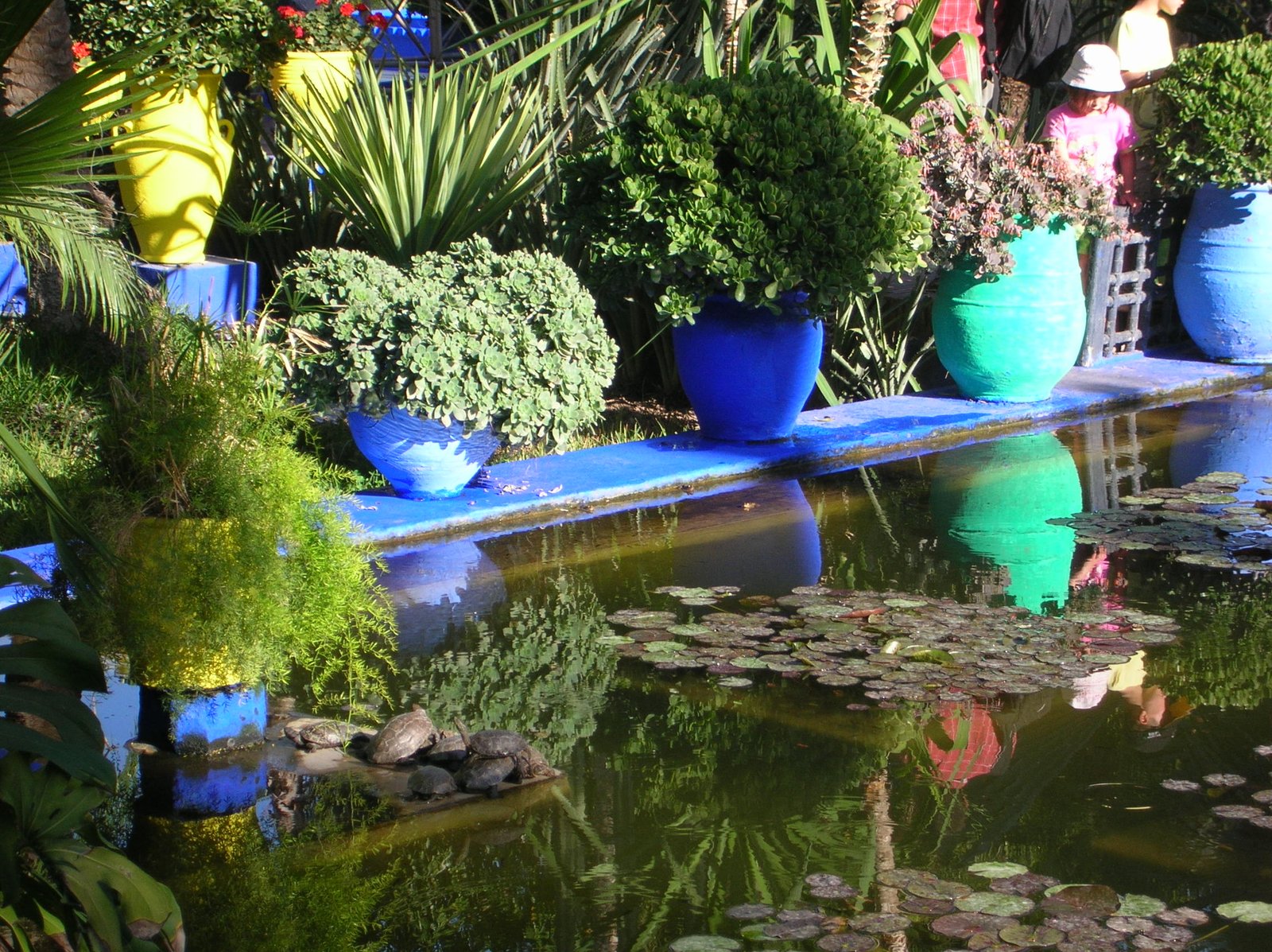 Vista do Jardin Majorelle, em Marrakech, com o azul Majorelle característico