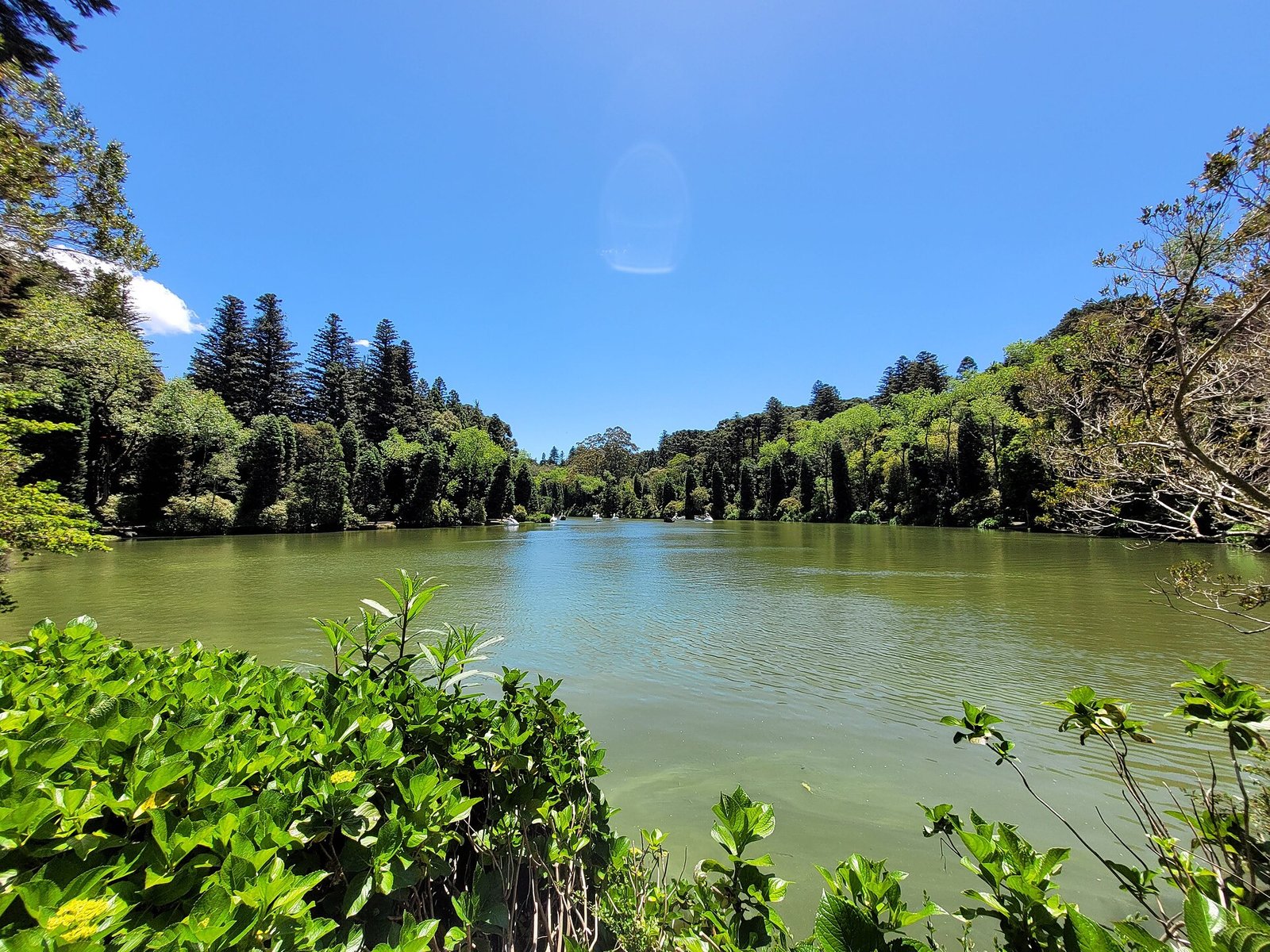 Vista do Lago Negro em Gramado, cercado de árvores