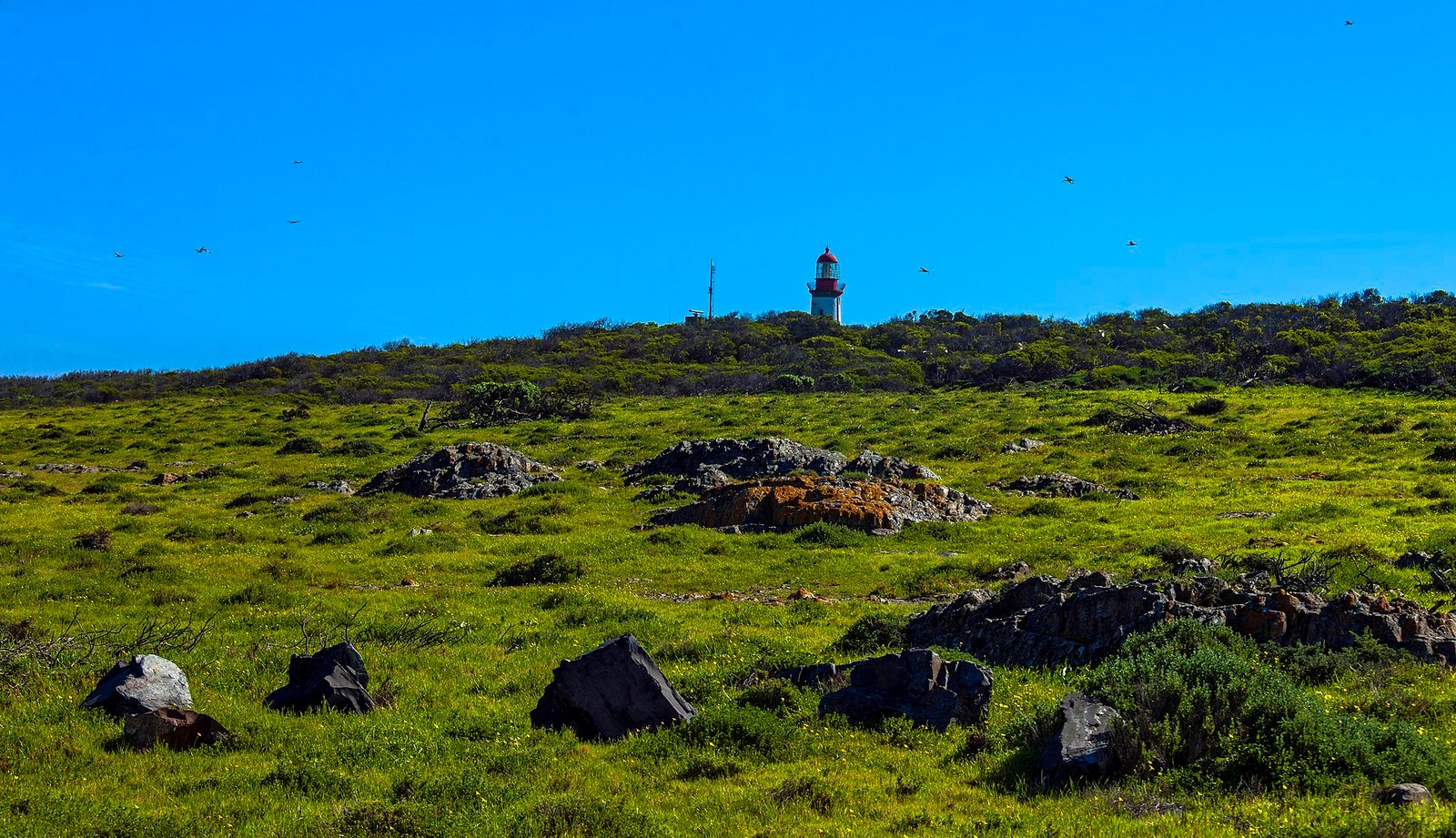 Farol de Robben Island visto a partir de um mirante próximo à estrada, na Baía da Mesa, Cidade do Cabo